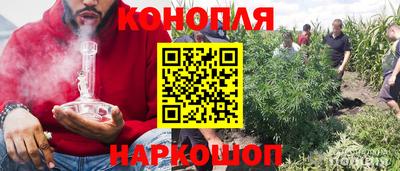 PSILOCYBIN Гусь-Хрустальный